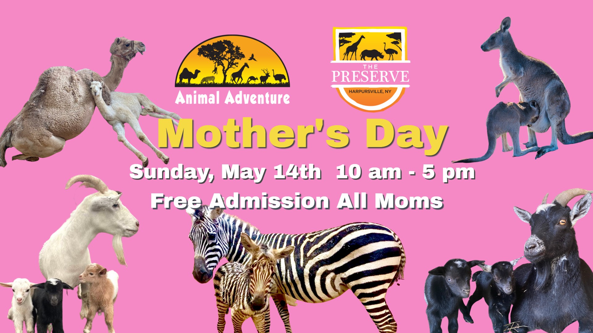 Mother's Day at Animal Adventure Park