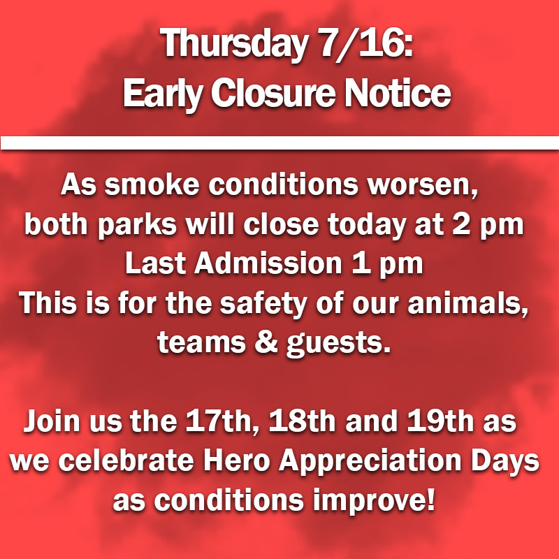 
Thursday 7/16 Early Closure Notice
As smoke conditions worsen, both parks will close today at 2 pm
Last Admission 1 pm
This is for the safety of our animals, teams & guests. 
 
Join us this Sunday as we celebrate hero Appreciation Days
as conditions improve! 

