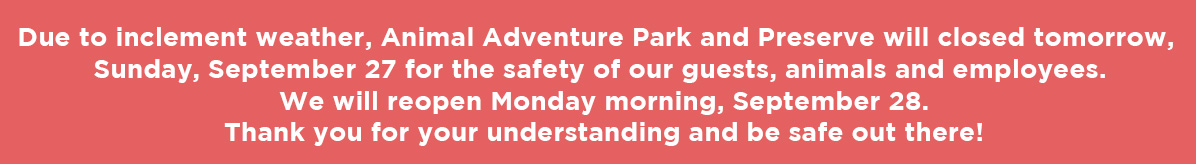 
9/27 Closure Notice
