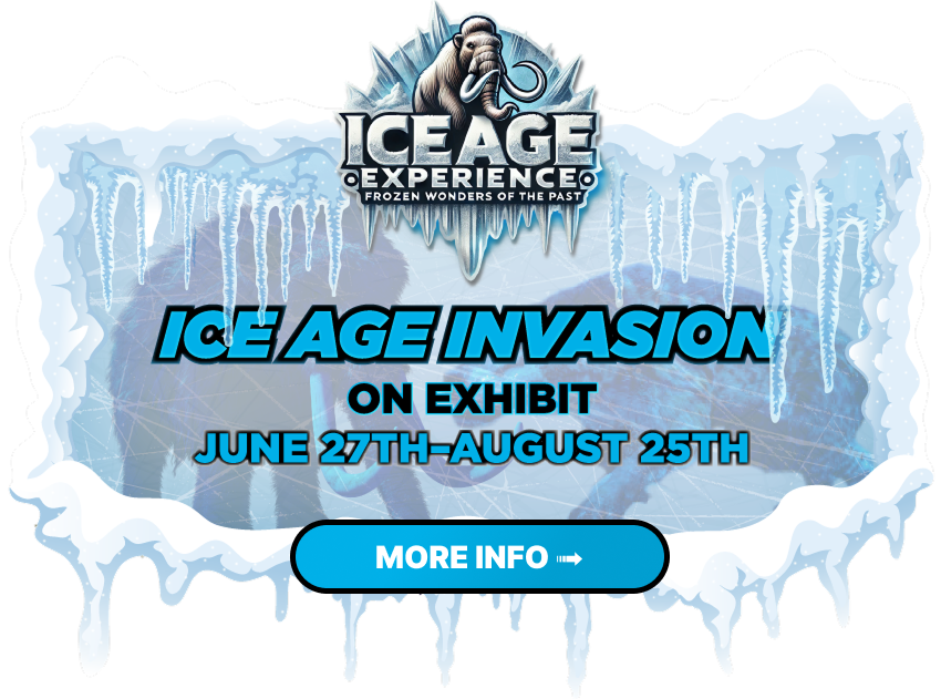 ICE AGE INVASION ON EXHIBIT JUNE 27TH - AUGUST 25TH