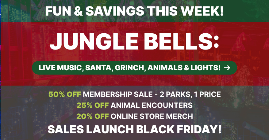 Fun & Savings This Week!

Jungle Bells: Open Wed. 11/26 for Thanksgiving Eve
 - Live Music, Santa, Grinch, Animals & LIGHTS! 
Closed Thanksgiving

50% Off Membership Sale - 2 Parks, 1 Price 
25% Off Animal Encounters
20% Off Online Store Merch
Sales Launch Black Friday!
