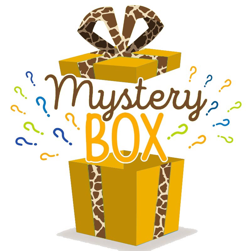 How To Buy  Mystery Box? 2023 Guide - WebliHost